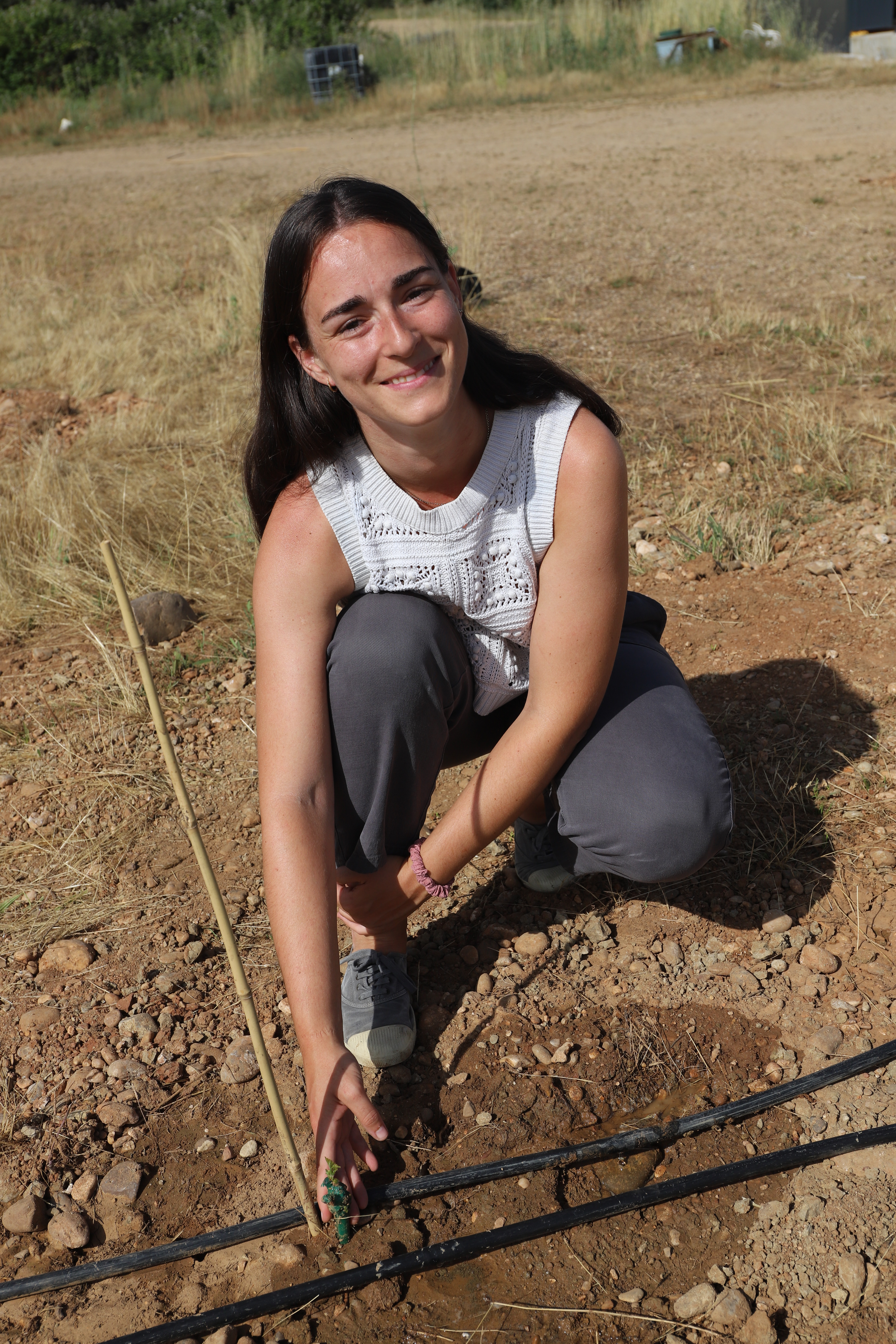 salud del suelo, Palencia, CERES RIH, Beatriz Barcenilla, agricultura regenerativa, microbiota, carbono orgánico, agricultura sostenible, productividad agrícola, microorganismos beneficiosos, Alltech Crop Science, Ideagro, Agrobarcenilla, suelo agrícola, bioestimulantes, agricultura sin químicos