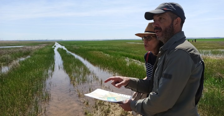 Récords de biodiversidad en 2025 evidencian la urgencia de restaurar los humedales en&nbsp;España