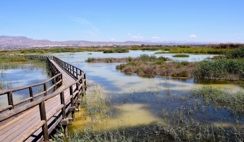 Fundación Global Nature alerta de la urgencia de restaurar los humedales tras los récords de biodiversidad de 2025 y reclama completar el Inventario Nacional.