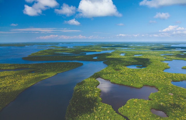 Fundación Global Nature alerta de la urgencia de restaurar los humedales tras los récords de biodiversidad de 2025 y reclama completar el Inventario Nacional.
