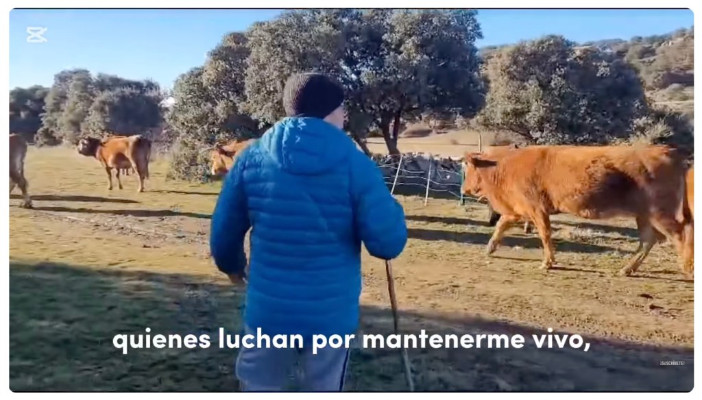 ‘El reto de quedarse’, de Sara Lassalle, conquista al público y gana el Premio&nbsp;MicroSaberes