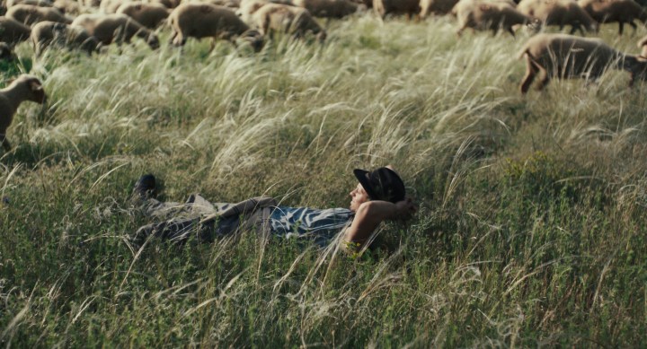 ‘Hasta la montaña’ llega alcine para entender el valor del campo y de quienes lo&nbsp;sostienen