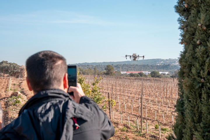 Wine Innovación Week, INNOVI, inteligencia artificial vino, innovación vitivinícola, digitalización bodegas, viticultura de precisión, IA en enología, enoturismo tecnológico, sector vitivinícola Cataluña