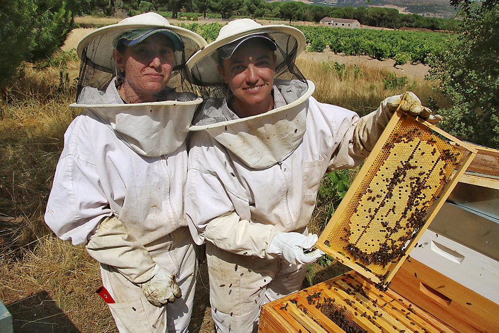 TalentA premia ‘Lágrimas de Miel’ como mejor proyecto rural