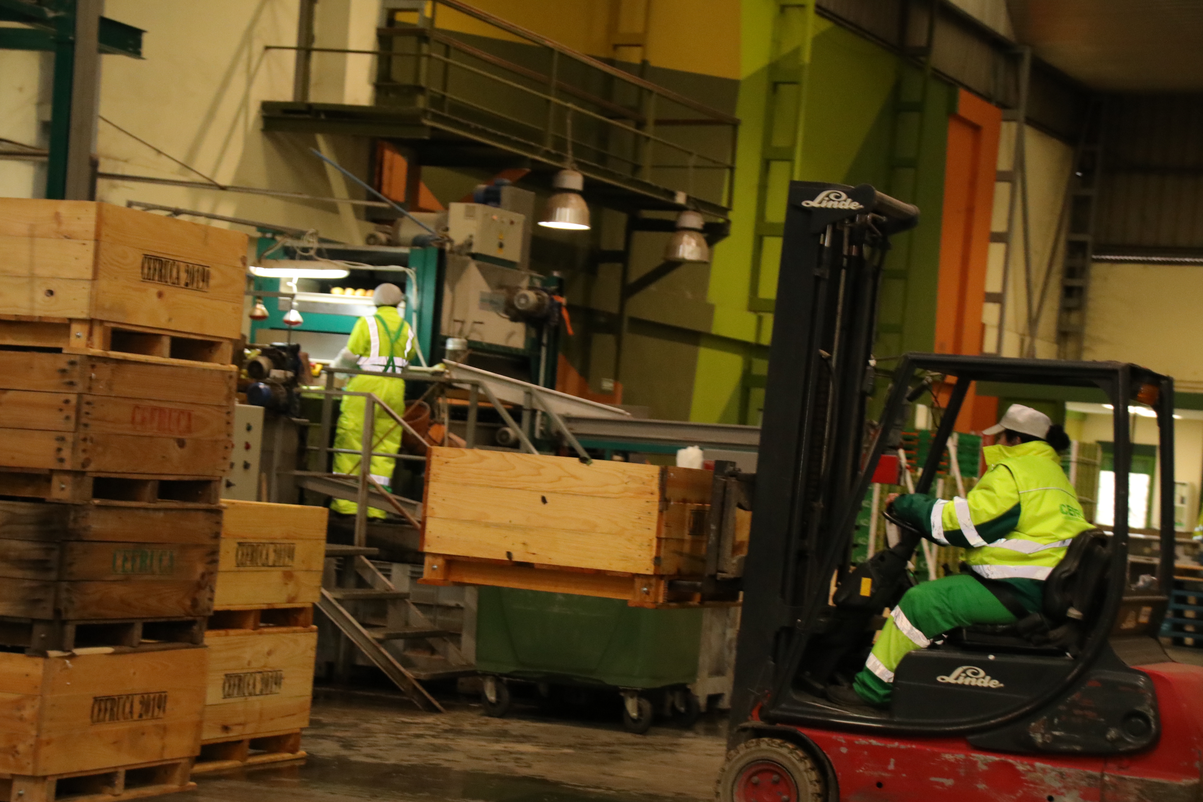 Ayudas agroalimentarias: 6,5 millones para modernizar dos industrias en Palencia