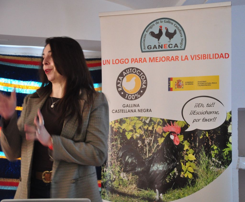La Universidad de León presenta el primer estudio científico sobre el programa de cría de la gallina Castellana&nbsp;Negra