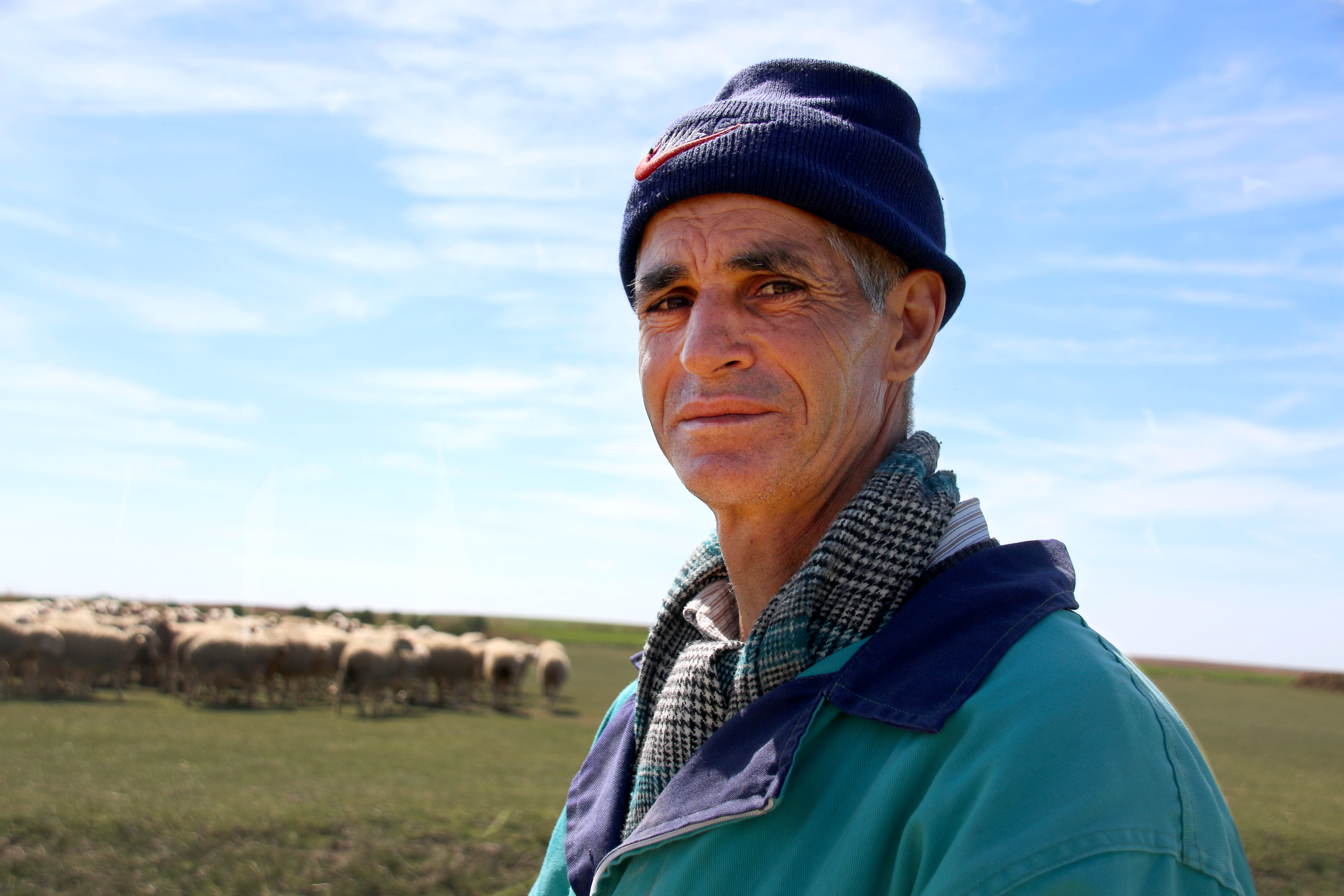 Madrid reúne a expertos de todo el mundo para debatir el futuro del pastoreo y la trashumancia