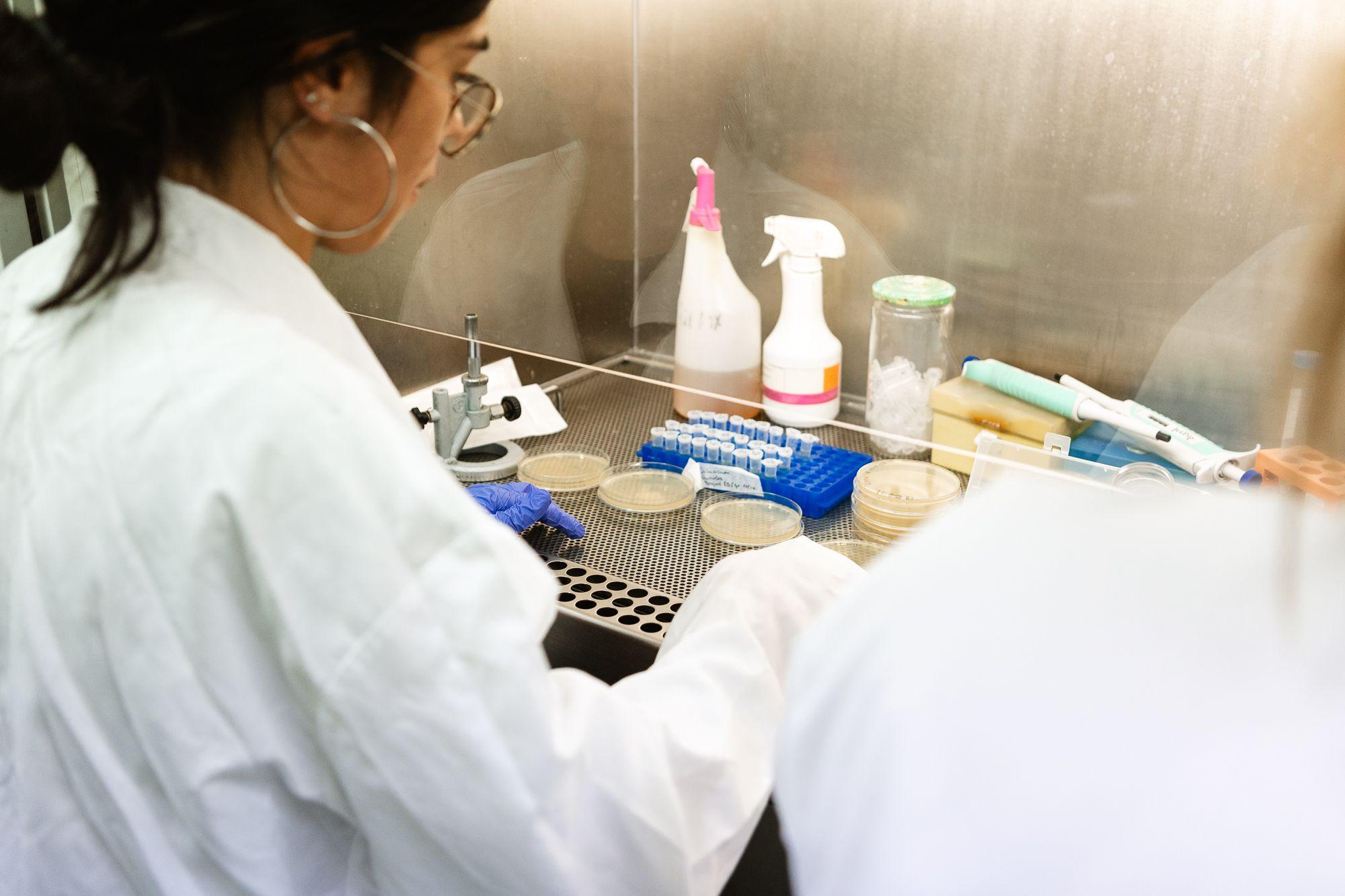 El estudio sobre Staphylococcus aureus abre vías para reforzar la seguridad alimentaria y el control de patógenos