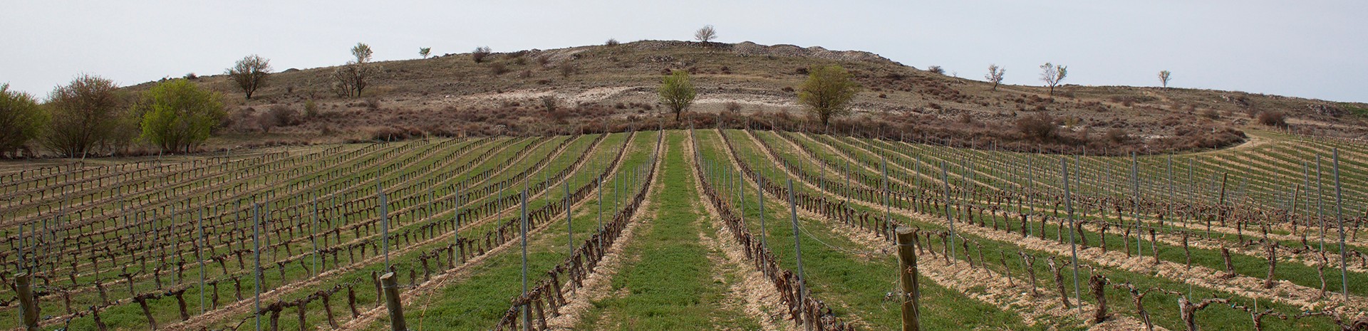 Valtiendas se integra en la asociación de DO castellano y leonesas