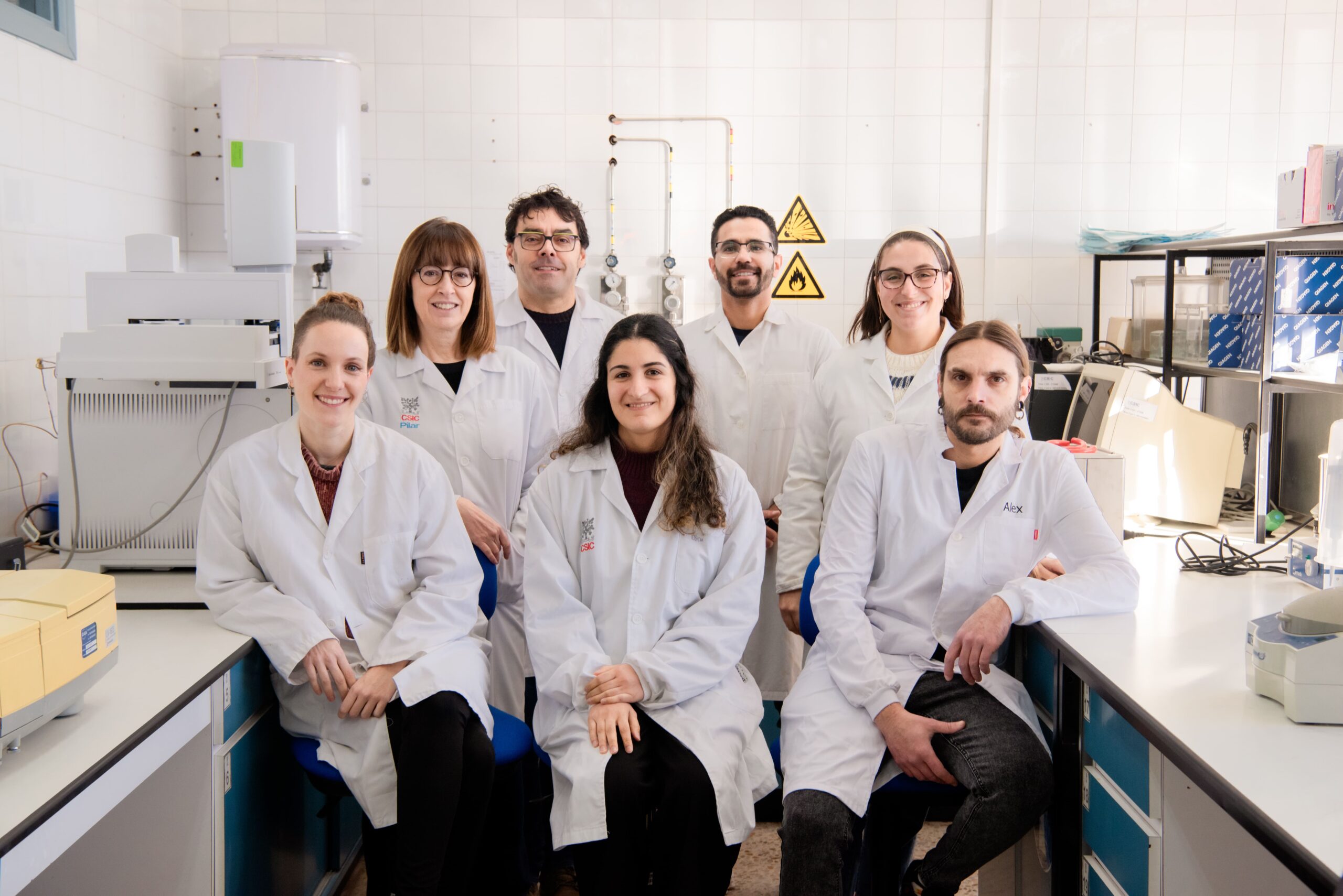Un estudio avala el uso de aceite de insecto en la alimentación de corderos sin efectos negativos en la digestión