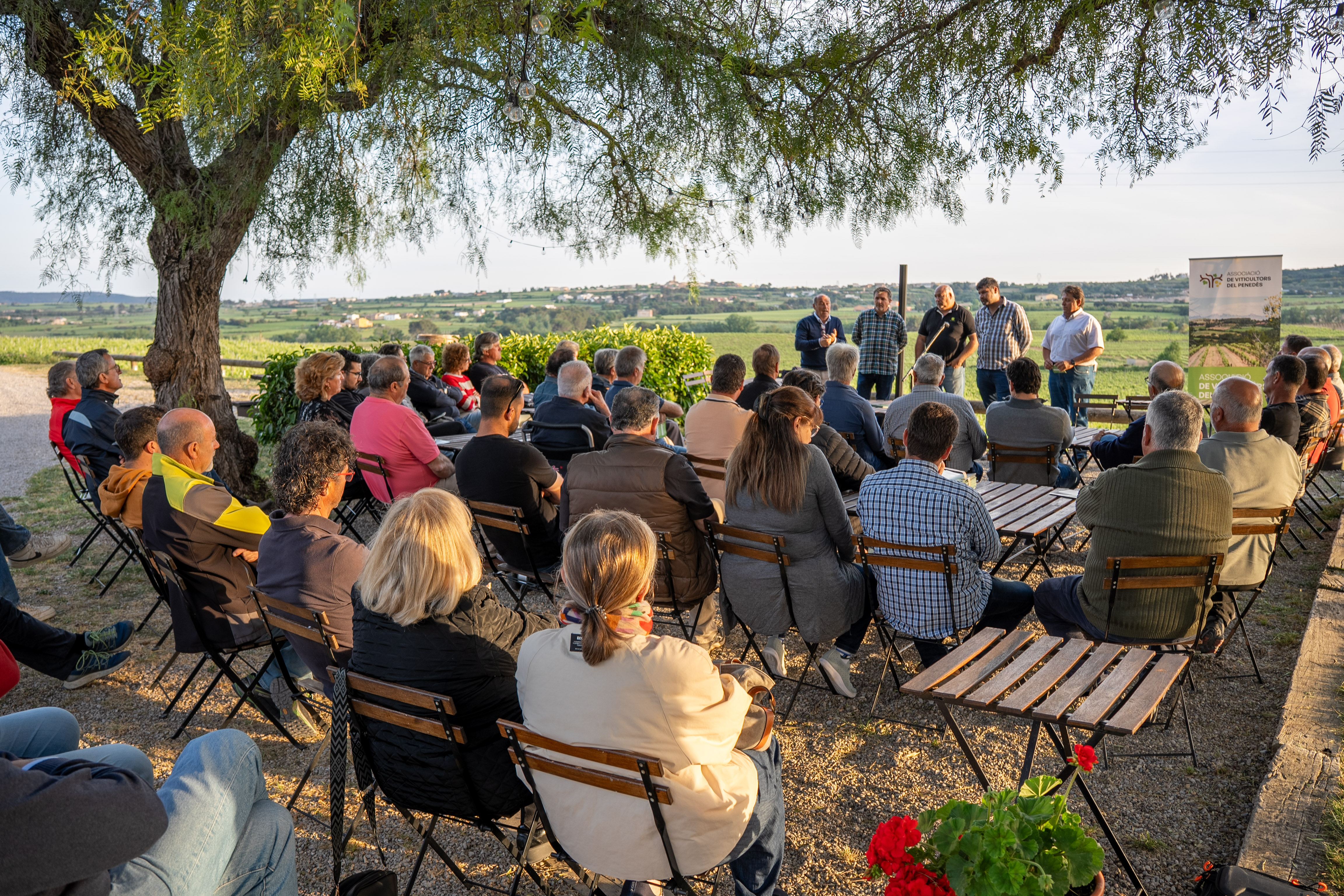 Los viticultores del Penedès buscan liderar el cambio en el cava