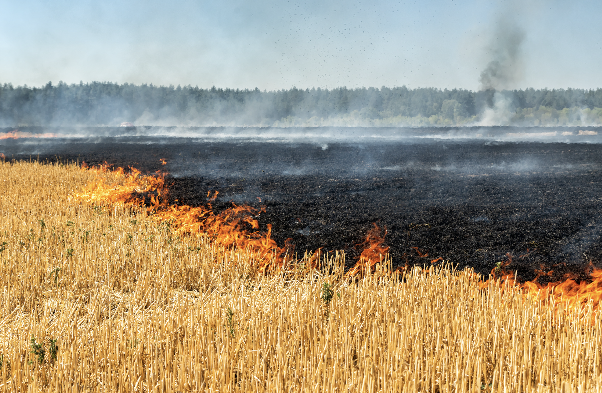 UCCL reclama medios y coordinación para extinguir los incendios y atender a las explotaciones agrícolas y ganaderas afectadas.