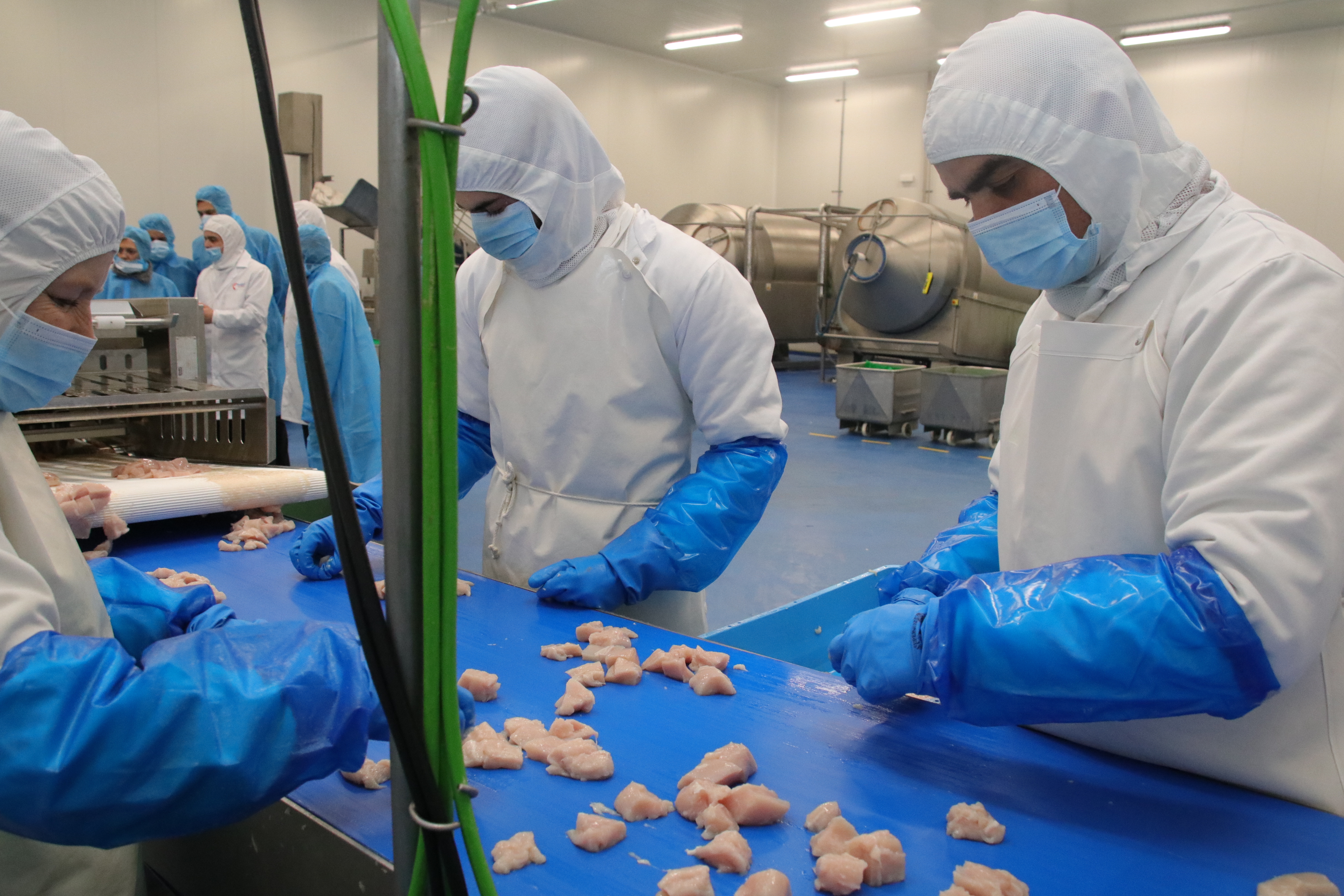 Agricultura abre la revisión de las normas de calidad alimentaria
