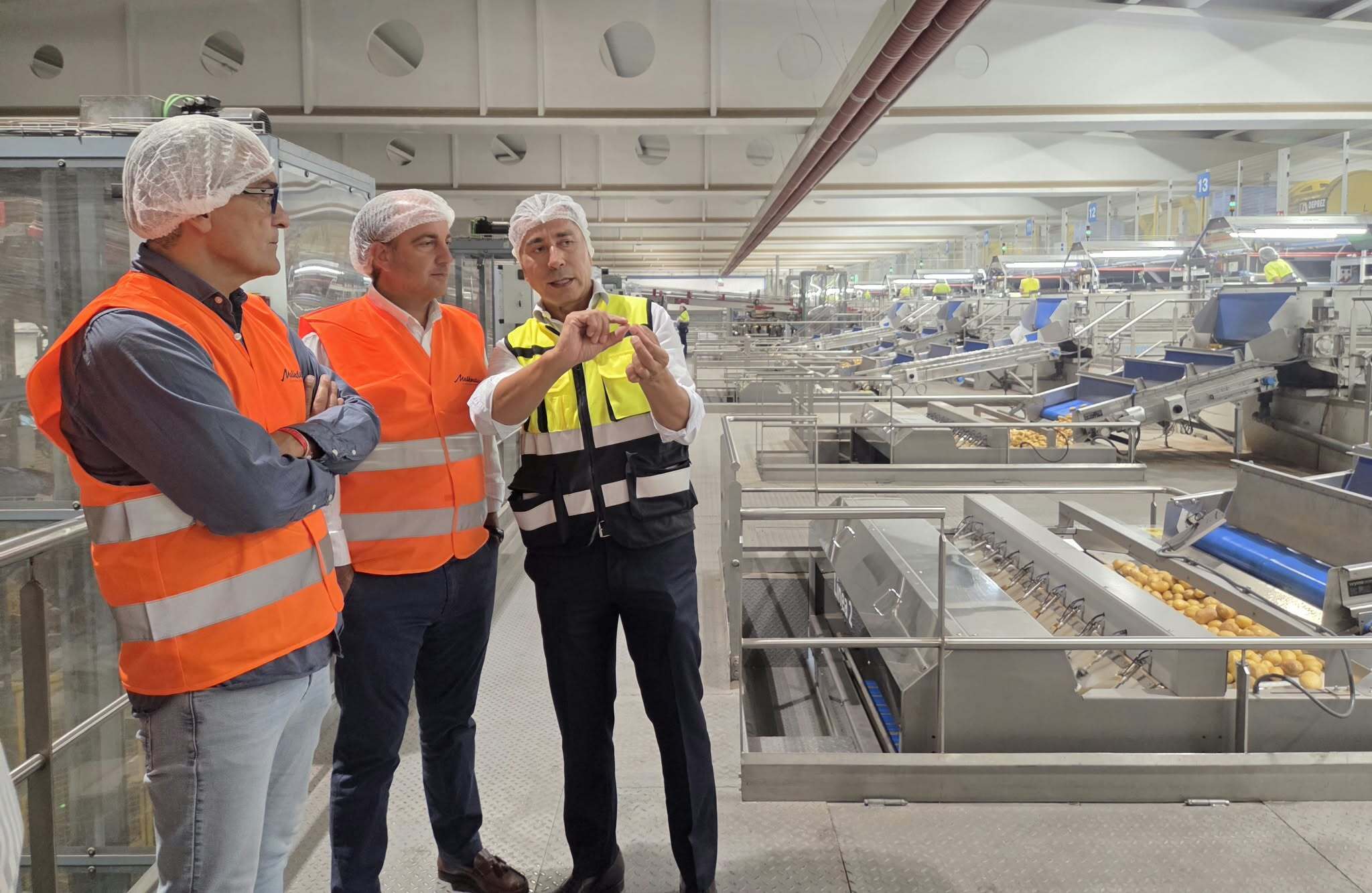 Castilla y León afronta la campaña de patata con menos superficie y más industria