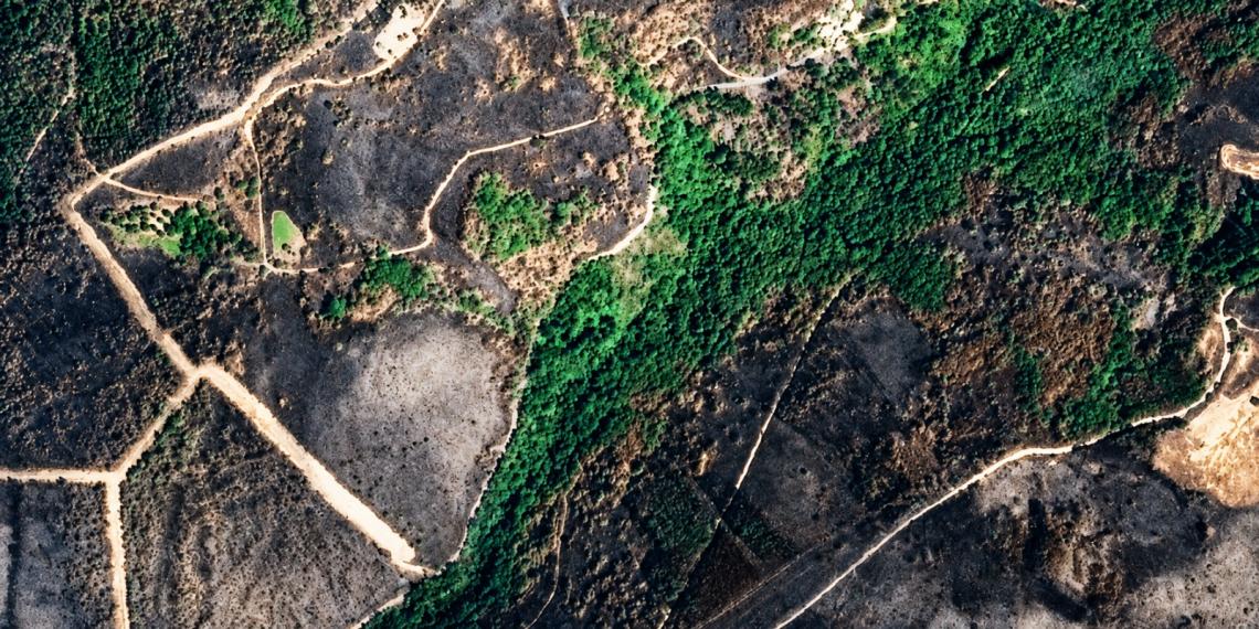 CROWNFIRE-AI anticipa el riesgo de incendios de copa