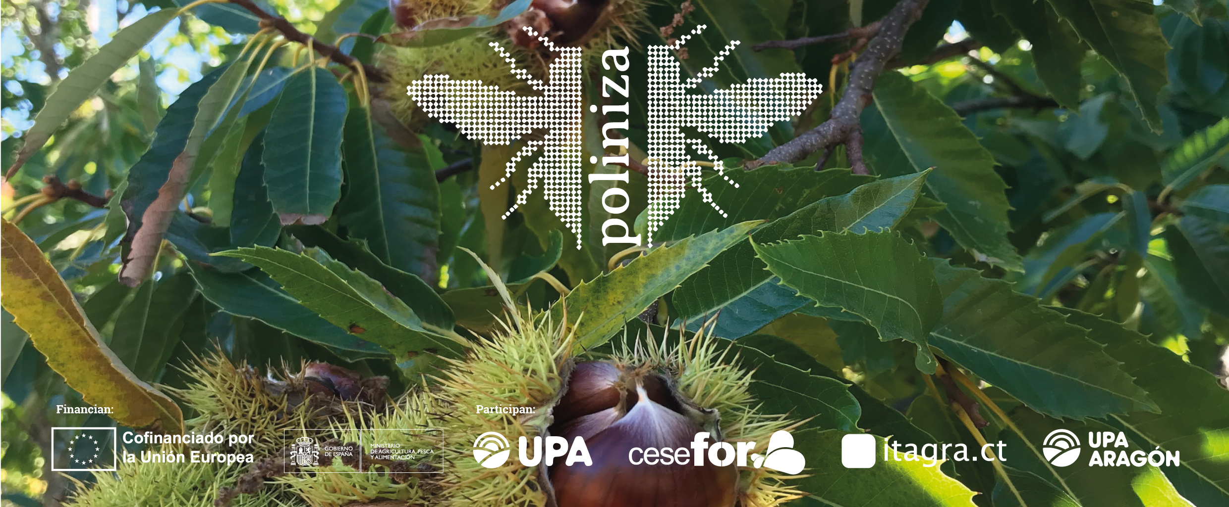 GO POLINIZA mide el valor agrario de la polinización