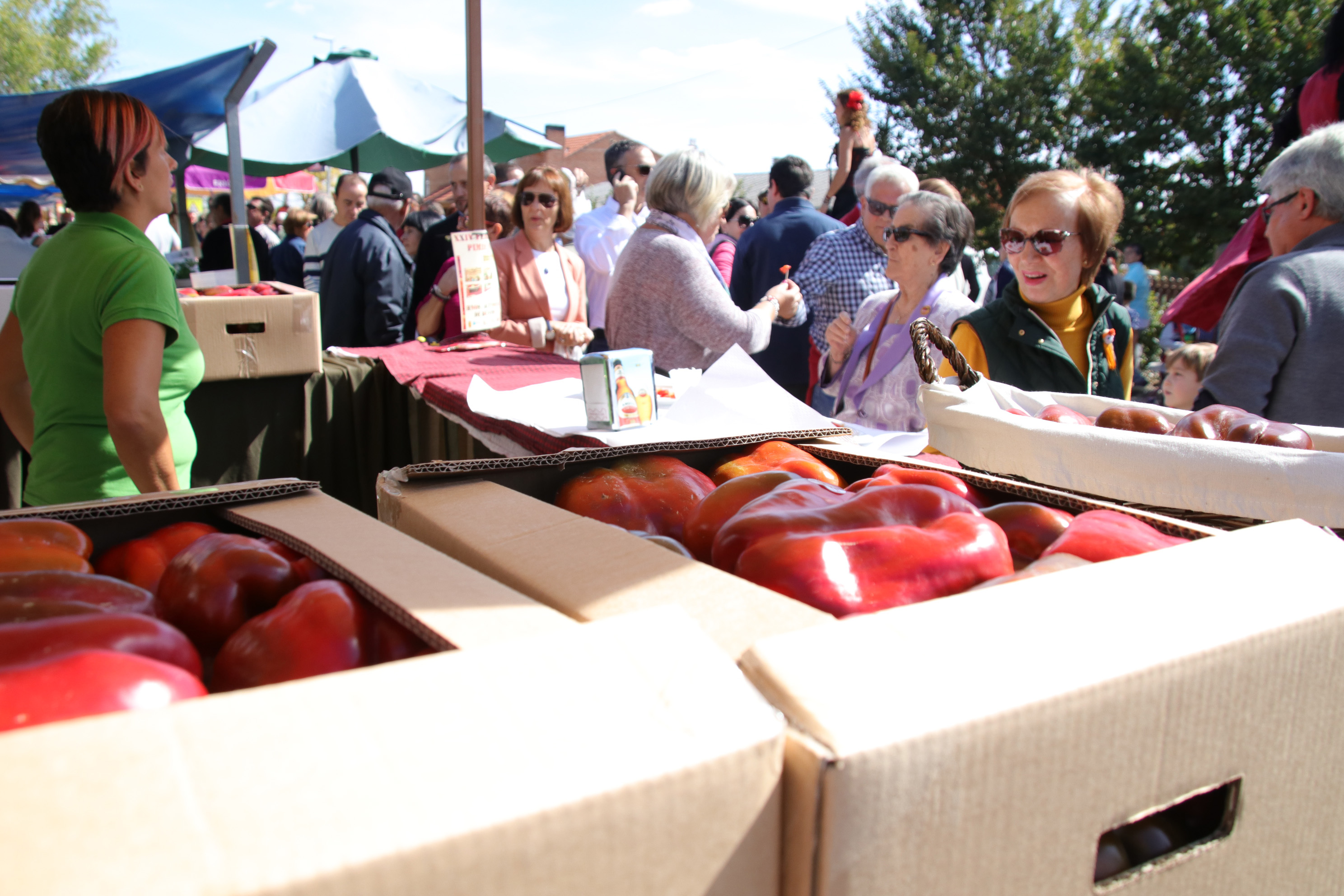 Torquemada celebra el 20 de septiembre su XXXII Feria del Pimiento con 53 expositores, 2.000 raciones y una cosecha prevista de más de 100.000 kilos