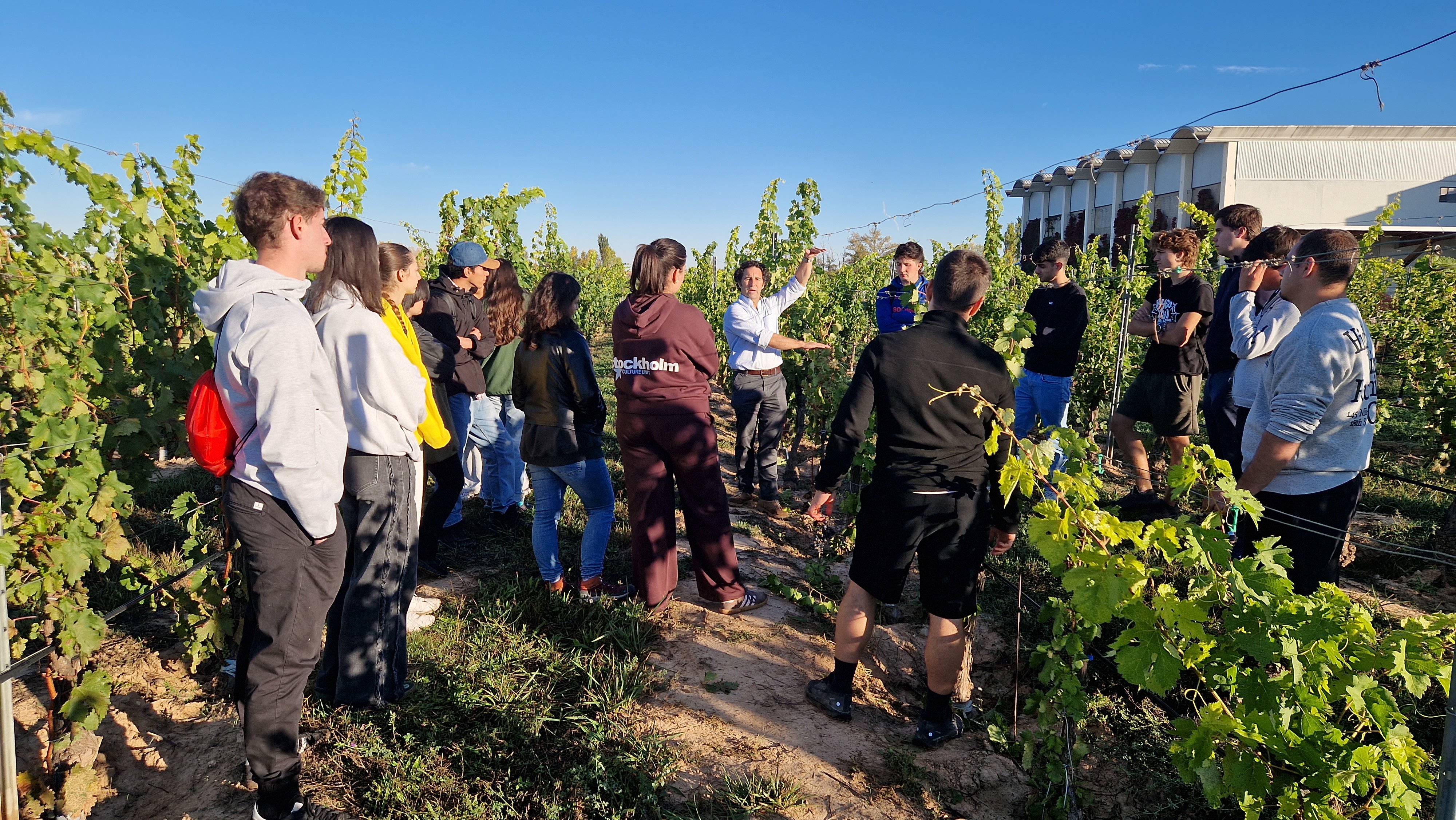 Los estudiantes de Ingeniería Agroalimentaria de la UBU conocen la viticultura de precisión en la Ribera del Duero