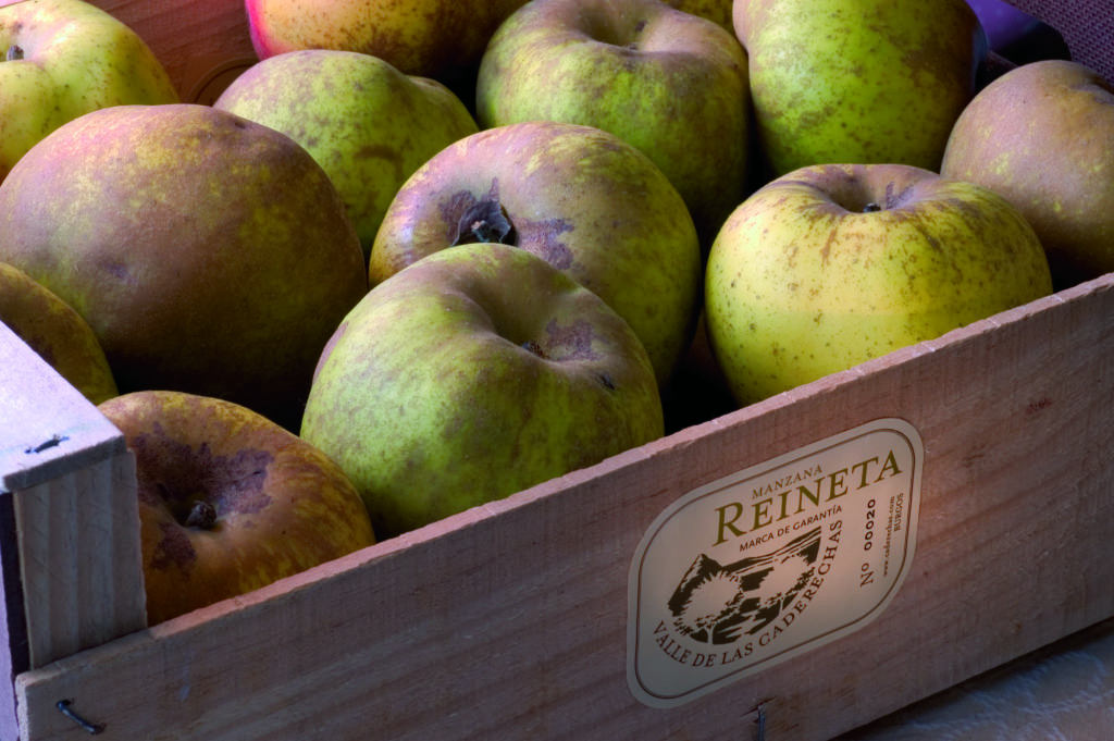 Aranda de Duero celebra la segunda Fiesta Gastronómica de la Manzana Reineta del Valle de las Caderechas